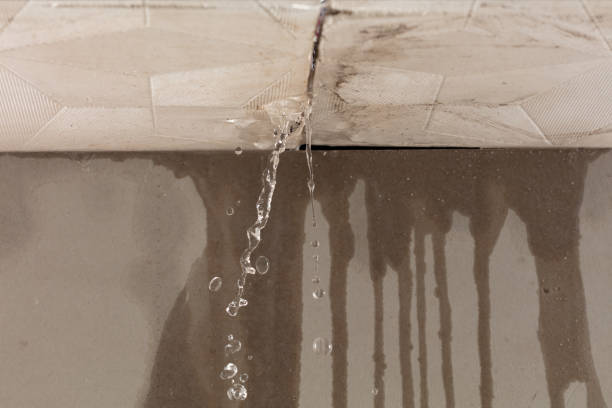 Professional Structural Drying technician working in Porter, TX